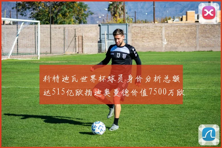 科特迪瓦世界杯球员身价分析总额达515亿欧扬迪奥曼德价值7500万欧